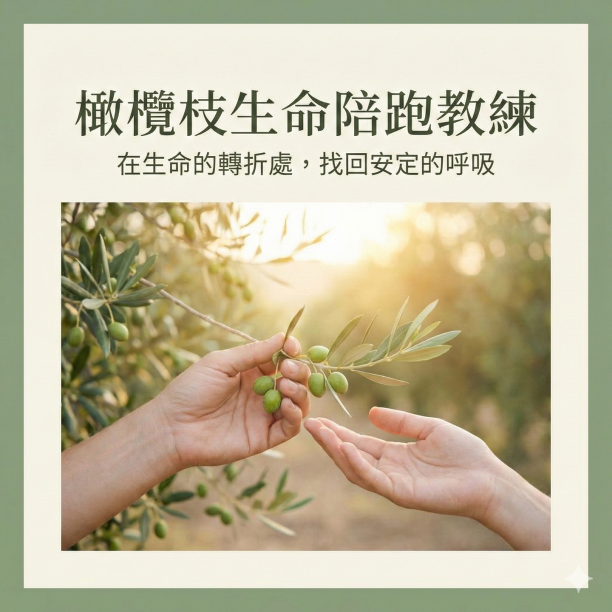 橄欖枝｜生命陪跑教練