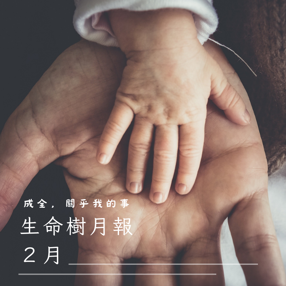 生命樹月報2026年2月號