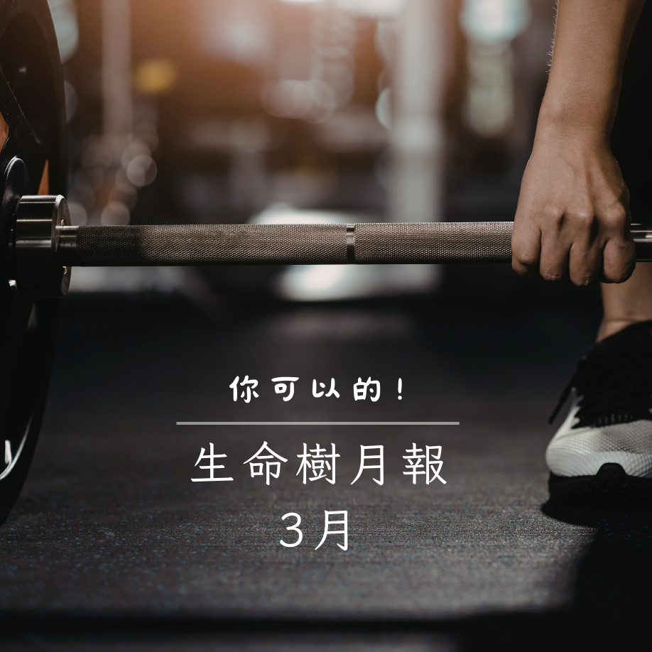 生命樹月報2026年3月號